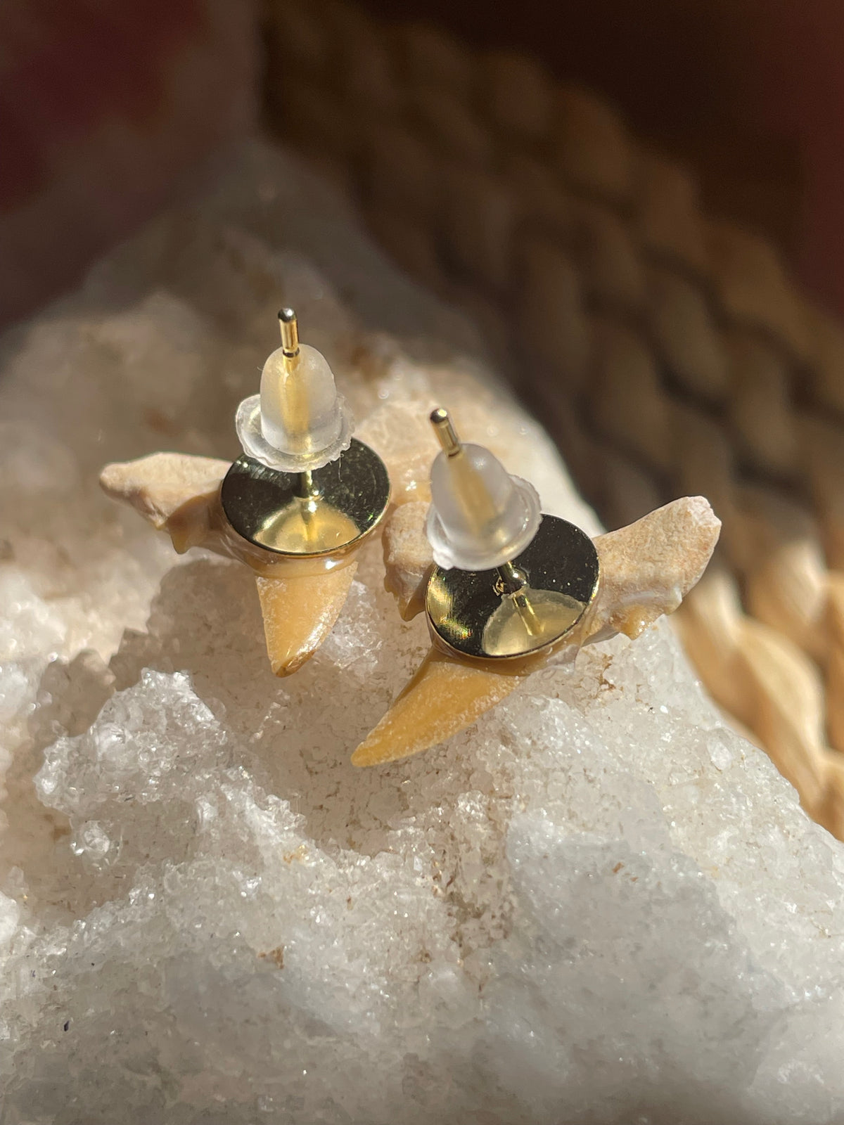 Authentic Shark Teeth Stud Earrings