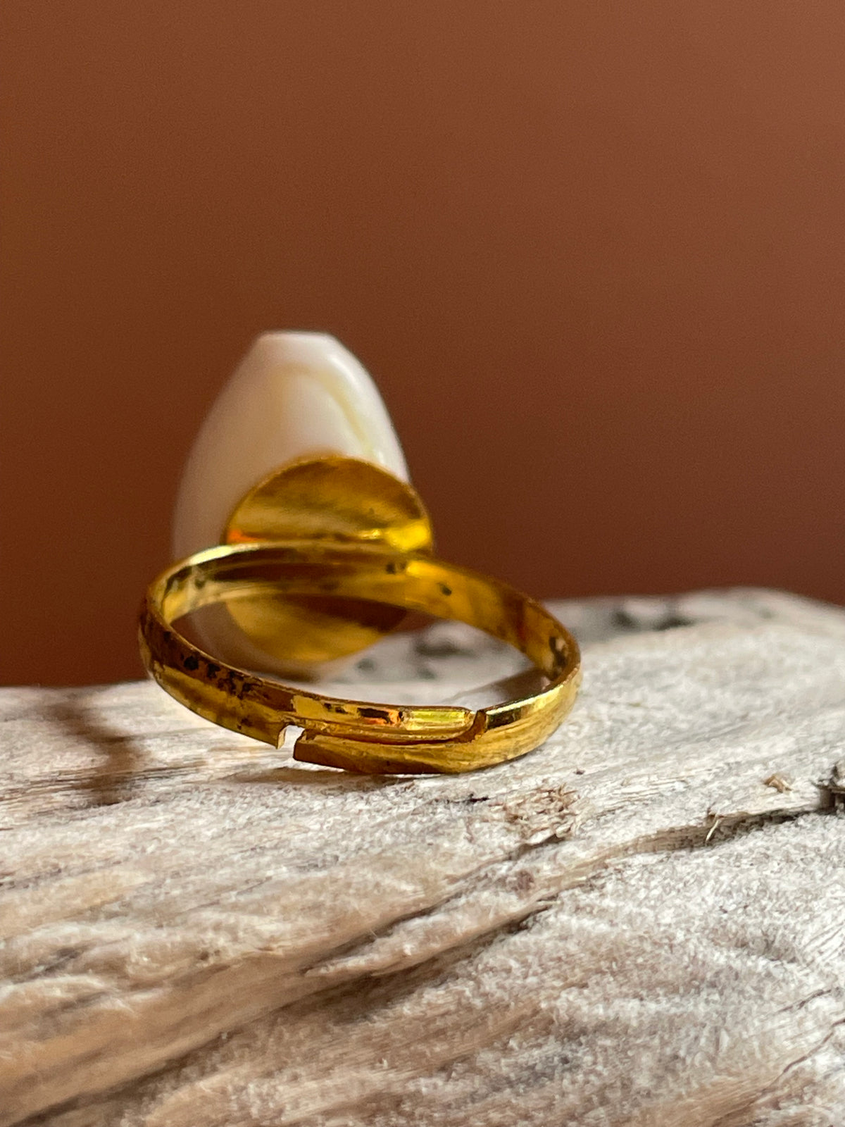 Cowrie Shell Gold Ring