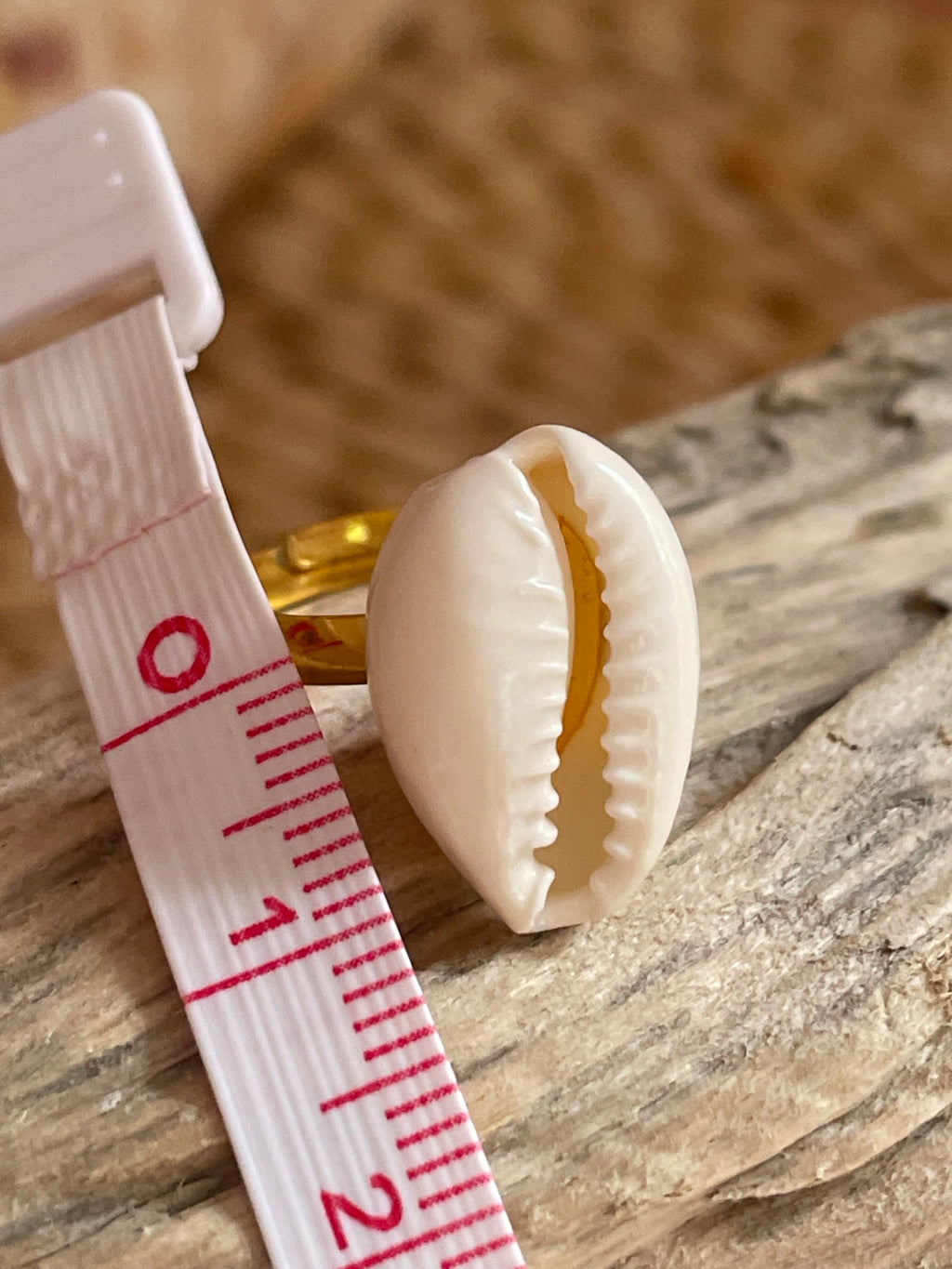 Cowrie Shell Gold Ring