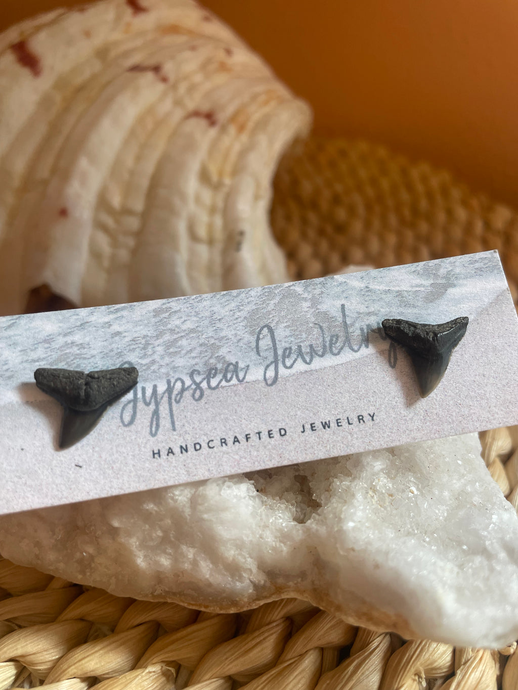 Small Fossilized Shark Teeth Studs